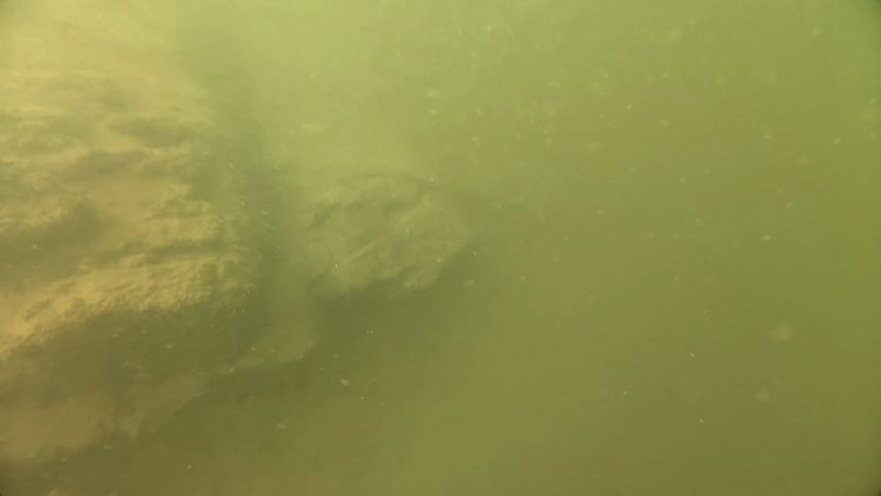 rock formation