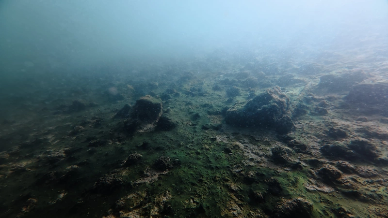 sea bed
