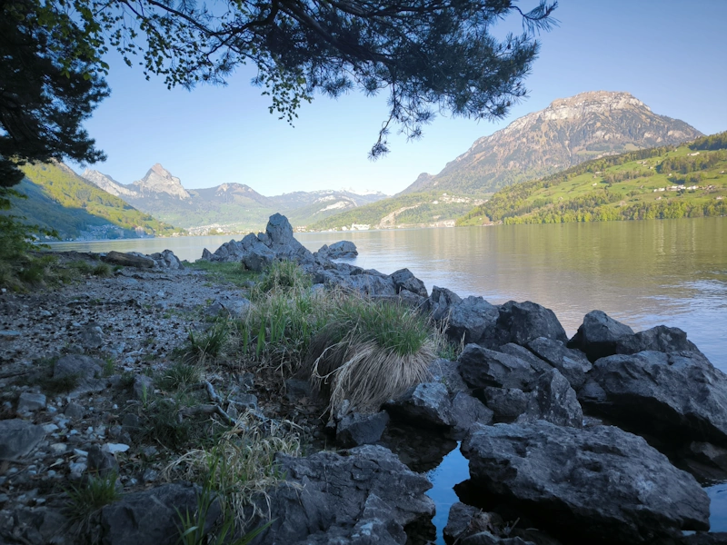 stony shore