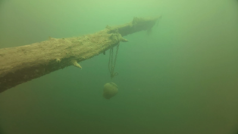 A bell on the same trunk as tube