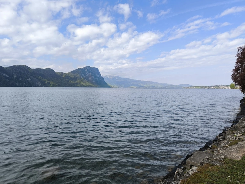 Entry - stone chairs