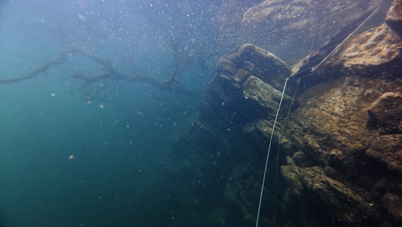 dive down