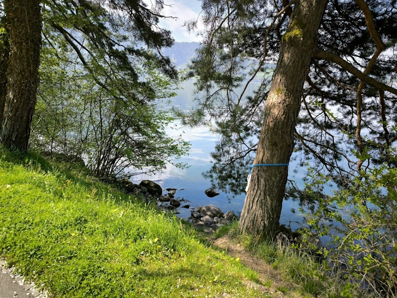 Alternative entry/exit point