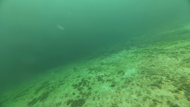water deeper