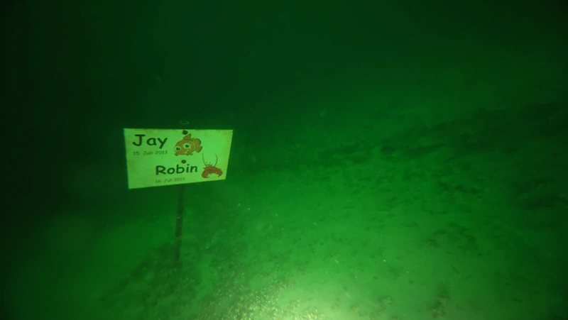 sign divers