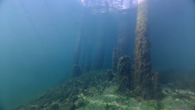 pier pillars