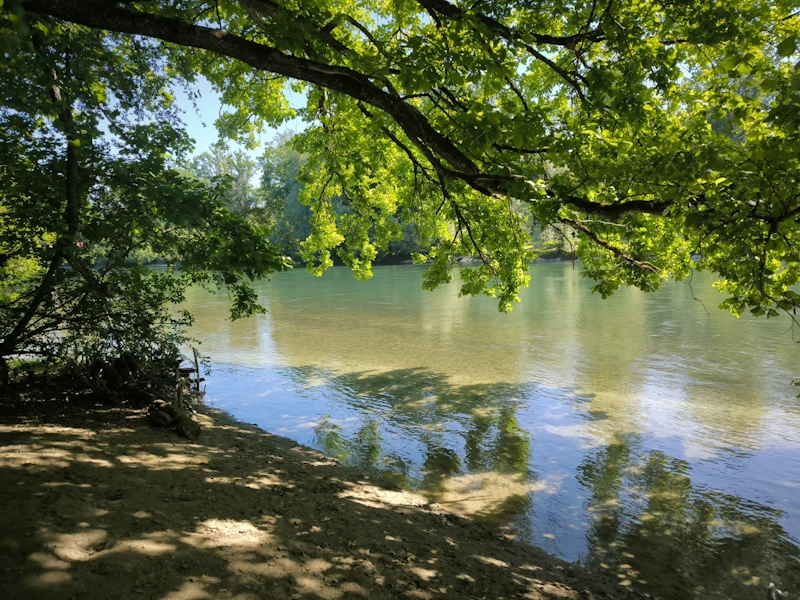 Beautiful Reuss - Sins - Bremgarten