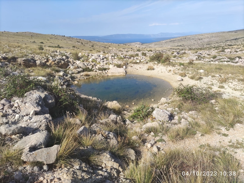 mountain pond