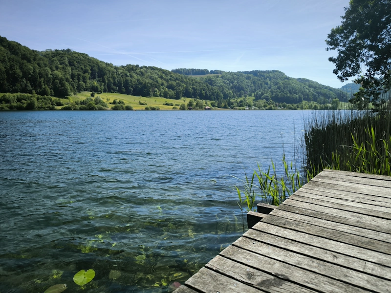 Türlersee
